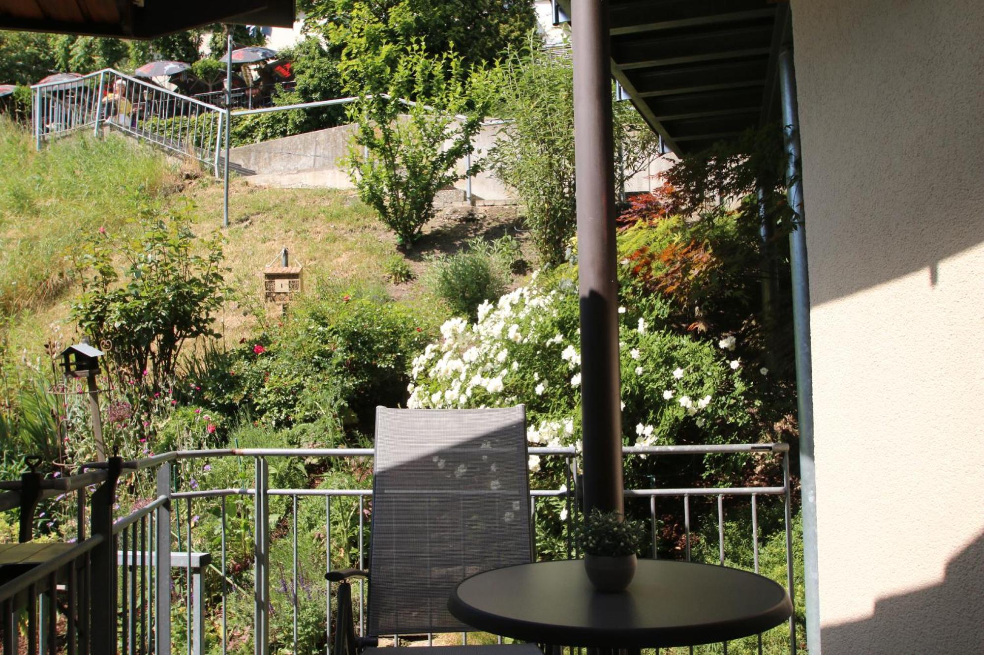Apartment Am Stadtwall *